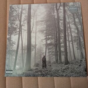 Taylor Swift Folklore Vinyl Beautiful In The Trees Image